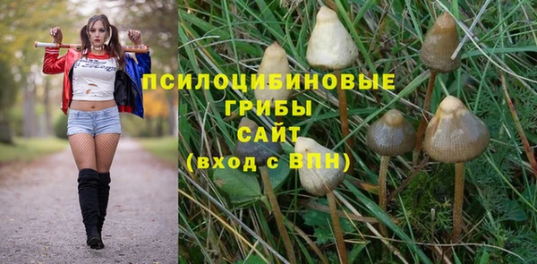 спайс Алексин