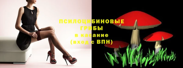 спайс Алексин