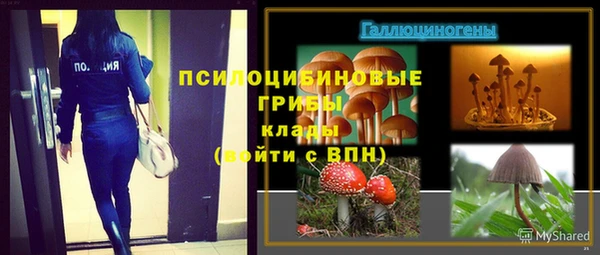 спайс Алексин