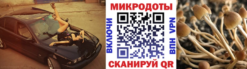 Галлюциногенные грибы Cubensis  Юрьев-Польский 